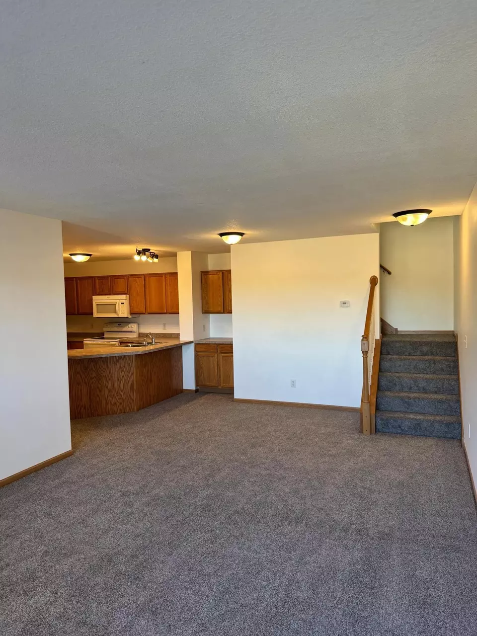 Living - 1102 Wheat St NW, New Prague, MN 56071 photo 4 of 4