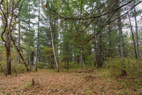 tbd Harriet Lake Trl NW, Backus, MN 56435 photo 2