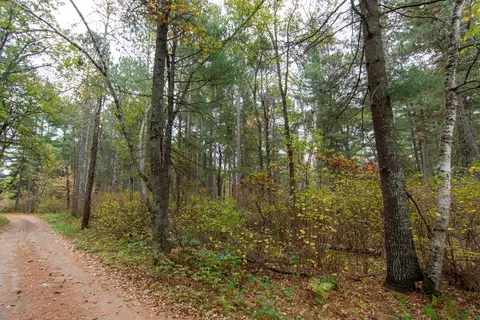 tbd Harriet Lake Trl NW, Backus, MN 56435 photo 11