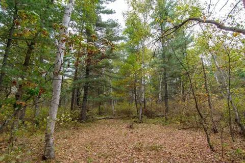 tbd Harriet Lake Trl NW, Backus, MN 56435 photo 9