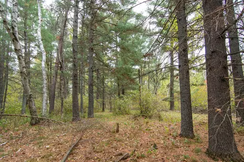 tbd Harriet Lake Trl NW, Backus, MN 56435 photo 7