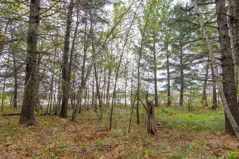 tbd Harriet Lake Trl NW, Backus, MN 56435 photo 3