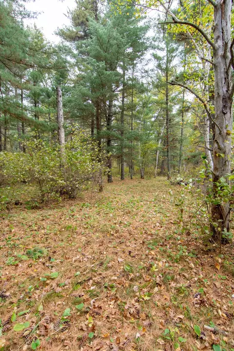 tbd Harriet Lake Trl NW, Backus, MN 56435 photo 8