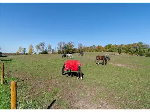 Other - 3035 Lake Sarah Rd, Maple Plain, MN 55359 photo 62 of 104