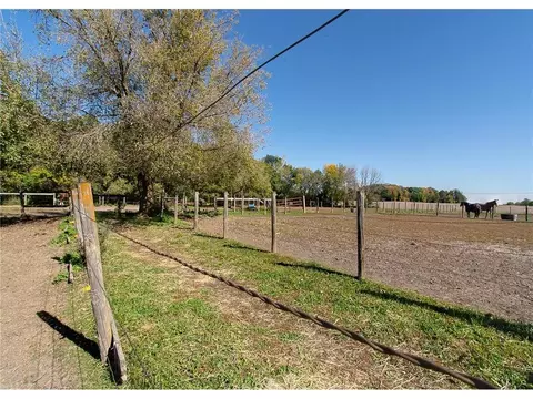 Other - 3035 Lake Sarah Rd, Maple Plain, MN 55359 photo 75 of 104