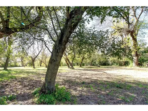 Other - 3035 Lake Sarah Rd, Maple Plain, MN 55359 photo 42 of 104