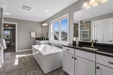 Bath - 1330 Interlachen Dr, Eagan, MN 55123 photo 3 of 7