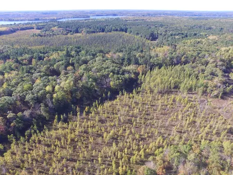 24468 Polansky Rd, Webster, WI 54893 photo 24