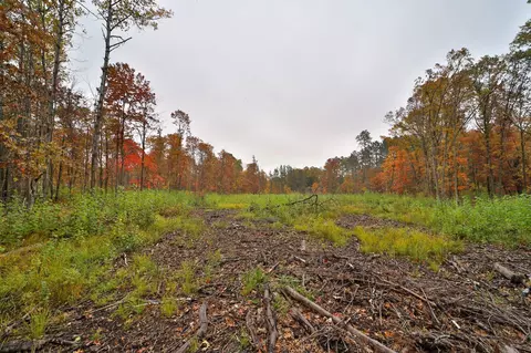 8652 Cook Rd, Brainerd, MN 56401 photo 40