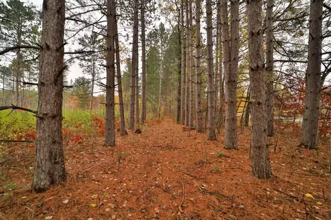 8652 Cook Rd, Brainerd, MN 56401 photo 64