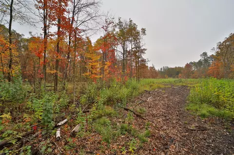 8652 Cook Rd, Brainerd, MN 56401 photo 39