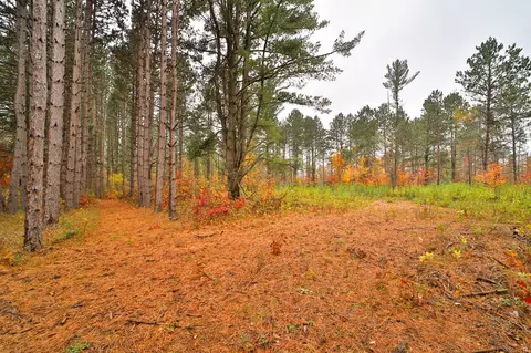 8652 Cook Rd, Brainerd, MN 56401 photo 63