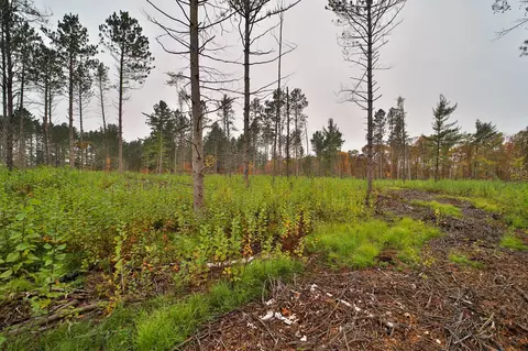 8652 Cook Rd, Brainerd, MN 56401 photo 50