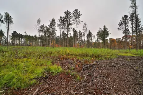 8652 Cook Rd, Brainerd, MN 56401 photo 51