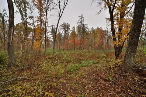 8652 Cook Rd, Brainerd, MN 56401 photo 60