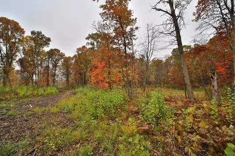 8652 Cook Rd, Brainerd, MN 56401 photo 42