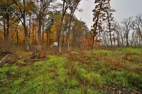 8652 Cook Rd, Brainerd, MN 56401 photo 58