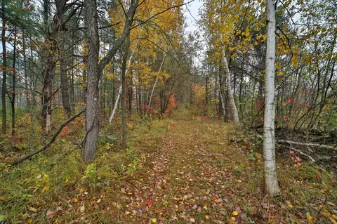 8652 Cook Rd, Brainerd, MN 56401 photo 62