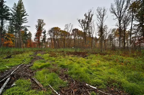 8652 Cook Rd, Brainerd, MN 56401 photo 56