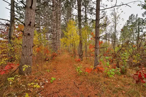 8652 Cook Rd, Brainerd, MN 56401 photo 3