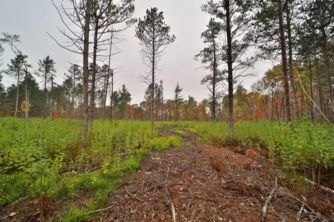 8652 Cook Rd, Brainerd, MN 56401 photo 49