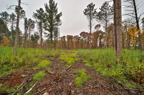 8652 Cook Rd, Brainerd, MN 56401 photo 52