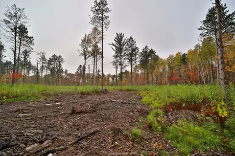 8652 Cook Rd, Brainerd, MN 56401 photo 47