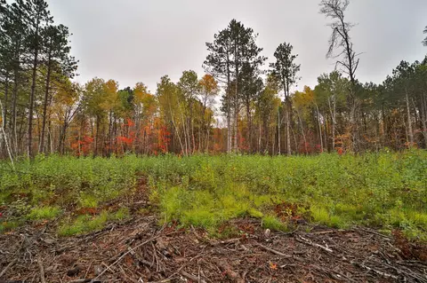 8652 Cook Rd, Brainerd, MN 56401 photo 48
