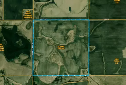 160 Acres Farmland Section 11, Lake Wilson, MN 56151