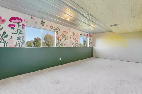 Other - 313 Birch St, Baldwin, WI 54002 photo 3 of 4
