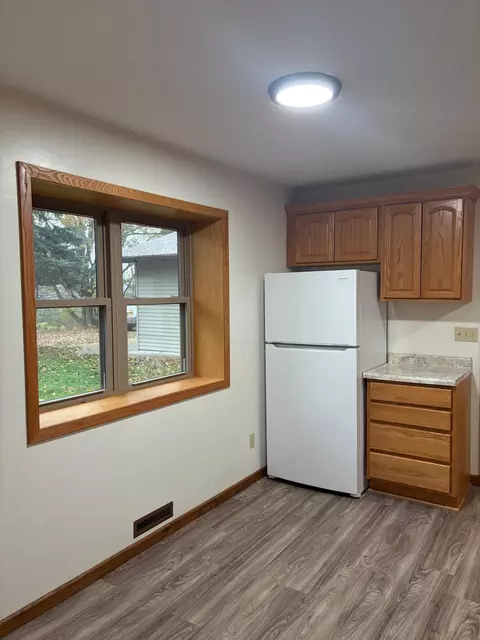 1339 280th St, Cushing, MN 56443 photo 3