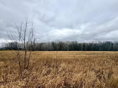 Nn Pole Road, Grasston, MN 55030