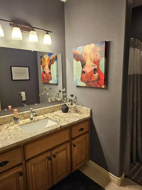 Bath - 524 19th St SE, Willmar, MN 56201 photo 3 of 3