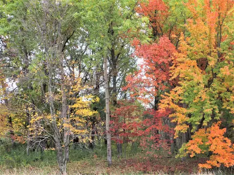 Parcel 1 90th Street, Frederic, WI 54837
