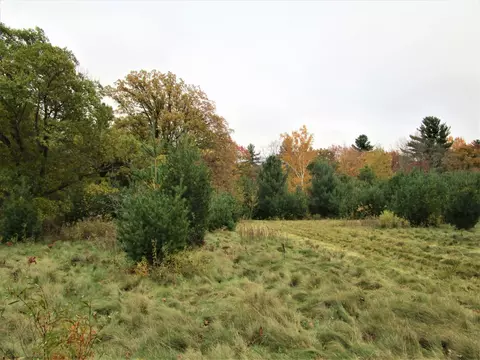 Parcel 2 90th Street, Frederic, WI 54837 photo 4