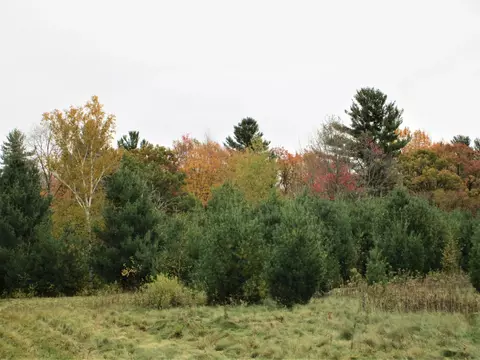 Parcel 2 90th Street, Frederic, WI 54837 photo 2