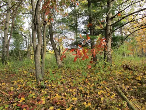 Parcel 2 90th Street, Frederic, WI 54837 photo 5