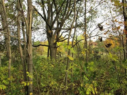 Parcel 2 90th Street, Frederic, WI 54837 photo 6