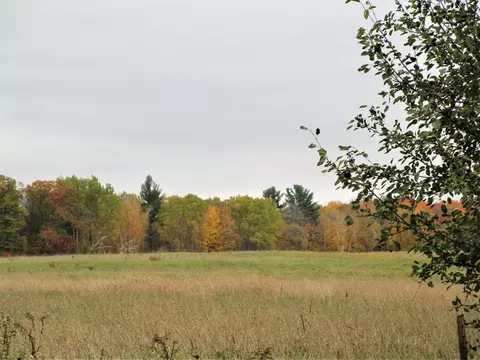 Parcel 3 90th Street, Frederic, WI 54837 photo 3