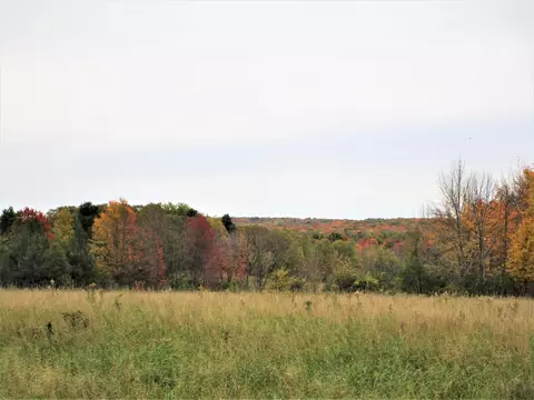 Parcel 4 90th Street, Frederic, WI 54837