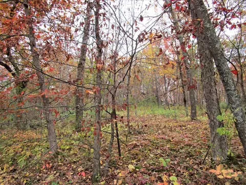 Parcel 4 90th Street, Frederic, WI 54837 photo 7