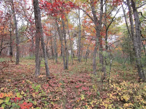 Parcel 4 90th Street, Frederic, WI 54837 photo 6