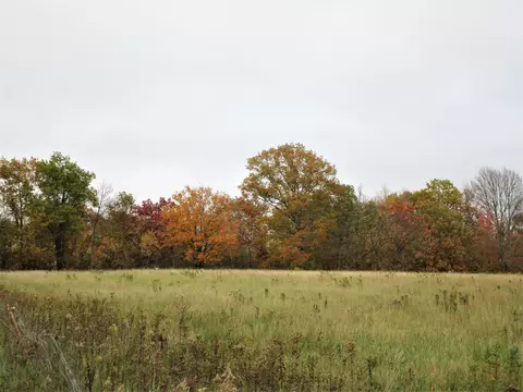 Parcel 4 90th Street, Frederic, WI 54837 photo 3