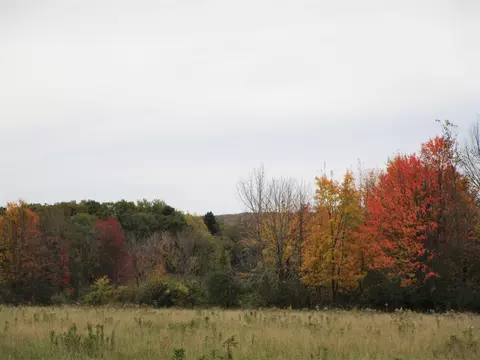 Parcel 4 90th Street, Frederic, WI 54837 photo 4
