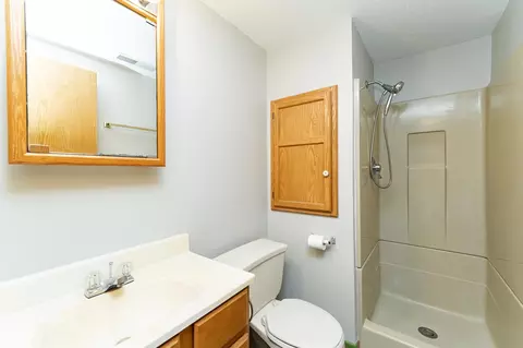 Bath - 209 E Henry St, Le Roy, MN 55951 photo 4 of 5