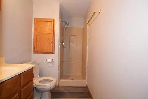 Bath - 209 E Henry St, Le Roy, MN 55951 photo 5 of 5