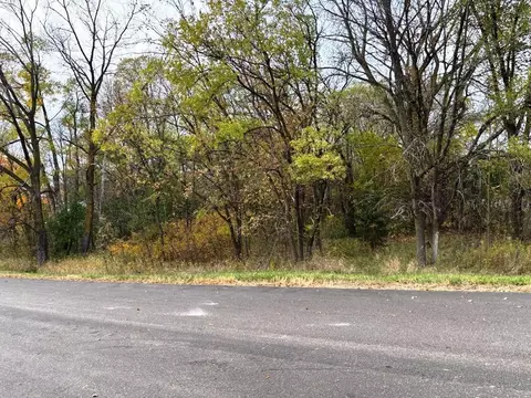 tbd 70th Ave N, Loretto, MN 55357 photo 8