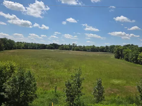Nnnn Lincoln St, Delano, MN 55328