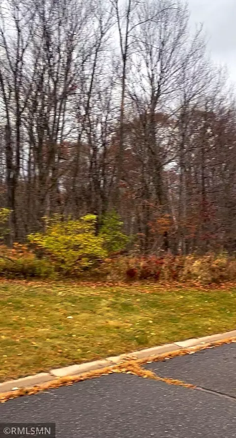 lot11 Wilderness Hills Ln, Luck, WI 54853