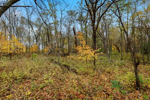 32 Nn 121st St E, Dundas, MN 55019 photo 15